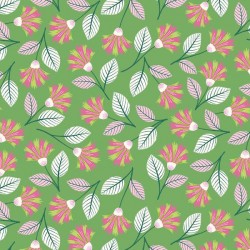 CARNATION DREAMSCAPE