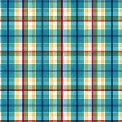 PUEBLO PLAID ON MINKY  - 24 yard minimum - Contact your account manager to purchase