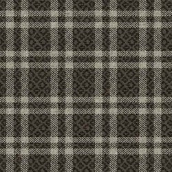 COZY PLAID ON MINKY  