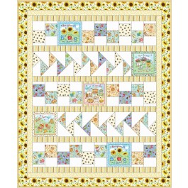 Happy Dance Quilt feat. Meant to Bee by Carolyn's in Stitches 