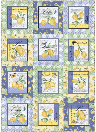 Block Talk Quilt by Swirly Girls Design /40"x57"