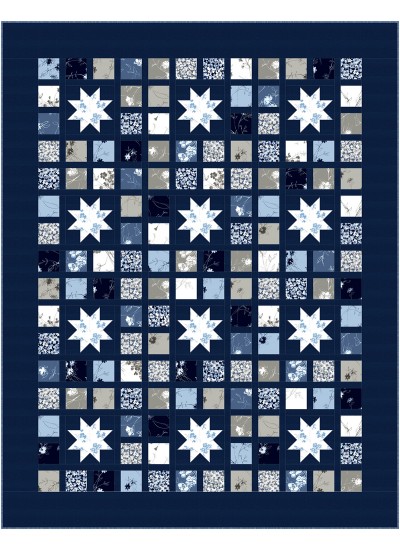 Starlit Picnic quilt flora bella by canuck quilter designs