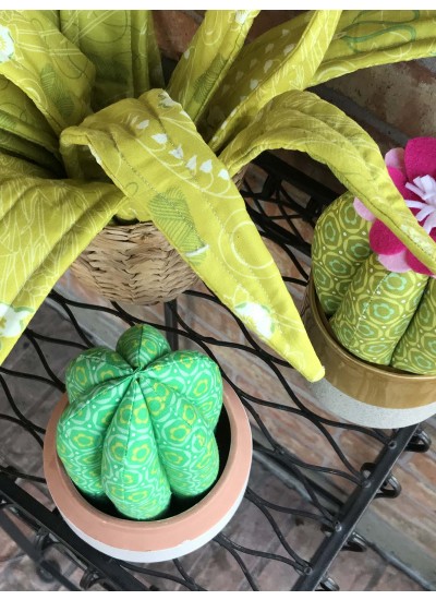 Flower shop Cacti plants