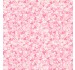 HEARTS AND DAISIES