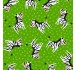 ZINGY ZEBRAS