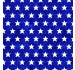 FIVE POINTED STARS