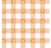 GINGHAM IN BLOSSOM
