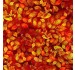 AUTUMN LEAVES