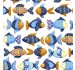 SCHOOL OF FISH