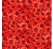 SCARLET MEADOW