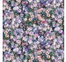 BELLFLOWER SONG