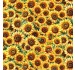 FIELDS OF SUNSHINE