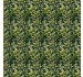 JURASSIC FOLIAGE