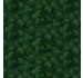 EVERGREEN GRACE