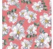 WILD ROSE