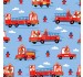 FIREFIGHTER TEAM