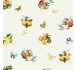 CITRUS AND BUTTERFLIES