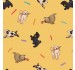 DOG PARK