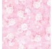 SOFT ROSES
