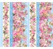 SPRING SONGS FAIRY STRIPE
