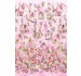 SPRING SONGS FAIRY BORDER