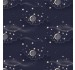MOONSKY