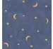 MYSTIC MOON