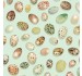 BIRD EGGS
