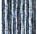 BIRCHES