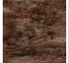 WOODGRAINS