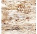 WOODGRAINS