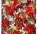 WINTER FAIRY POINSETTIA - NOT FOR PURCHASE BY MANUFACTURERS