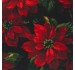 SCARLET POINSETTIA on MINKY - Contact your account manager to purchase this item