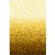 REFRACTIONS with Gold Metallic