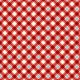 SNOWFLAKE GINGHAM