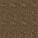 GARDEN PINDOT