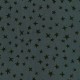 STARGAZER