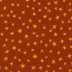 STARGAZER