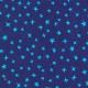 STARGAZER