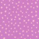 STARGAZER
