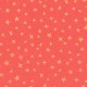 STARGAZER