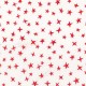 STARGAZER