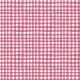 GINGHAM PLAY