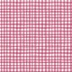 GINGHAM PLAY