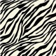 WILD STRIPE