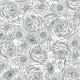 TIMELESS TOILE
