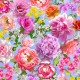GARDEN SPLENDOR