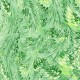 MARBLE SPLENDOR