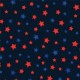 ITTY BITTY STARS