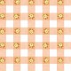 GINGHAM IN BLOSSOM